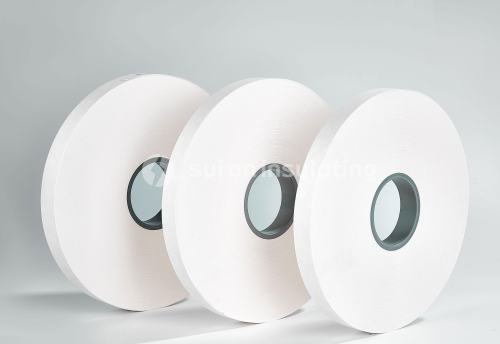 Climate Action Plan
